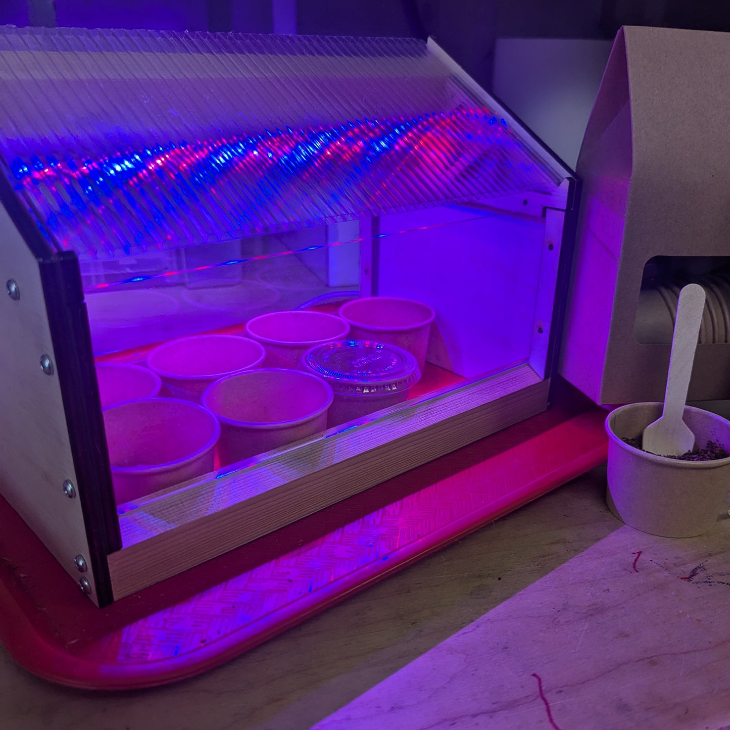 Make Stuff Grow | Micro-Greenhouse-2