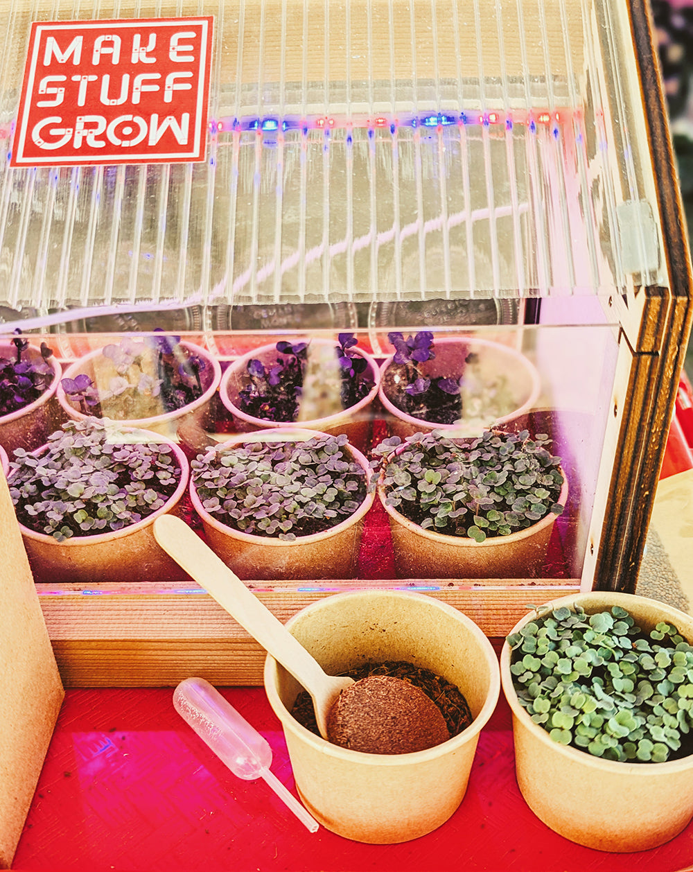 Make Stuff Grow | Micro-Greenhouse-0