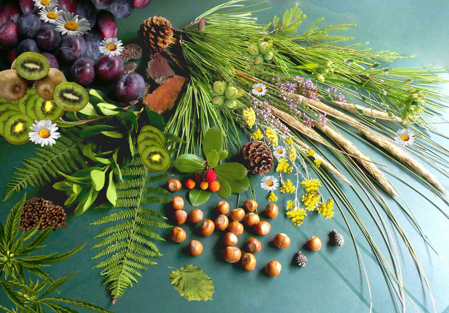 TRIO - Merveille des Landes ORGANIC 150ml-2