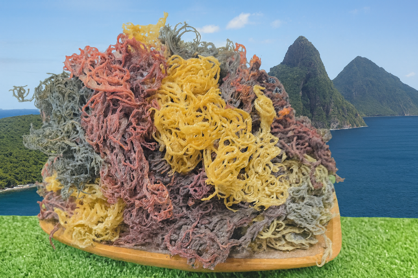 Full Spectrum Seamoss: Nature's Nutrient-Packed Treasure-5