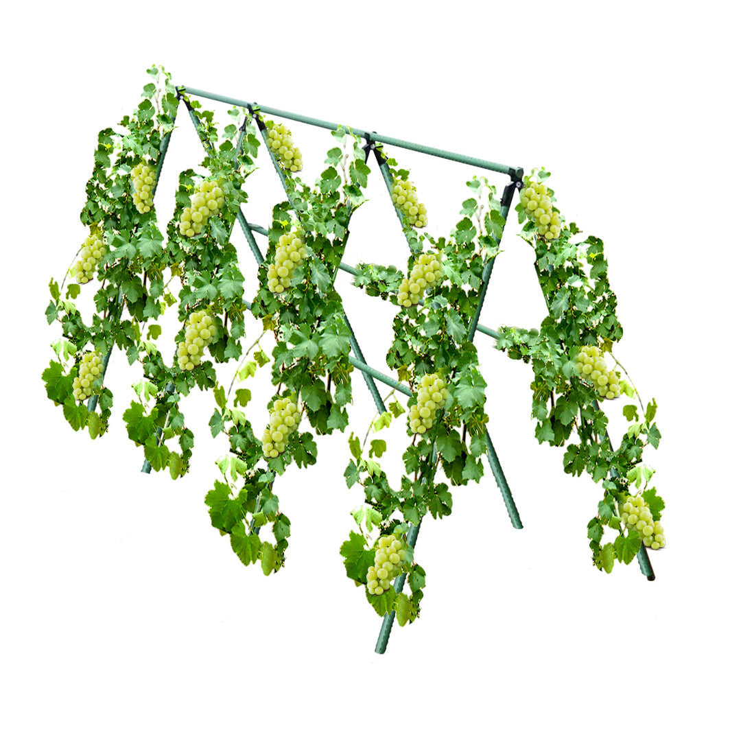 NNEAGS 90cm Plant Frame Tube Trellis Vegetable Flower Herbs Outdoor Vine Support Adjustable Garden Rack-0