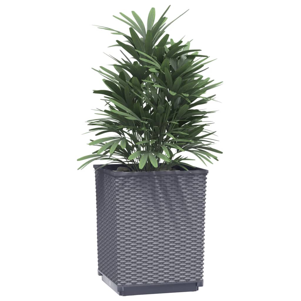 NNEVL Planters 2 pcs Dark Grey 30x30x37 cm Polypropylene-2