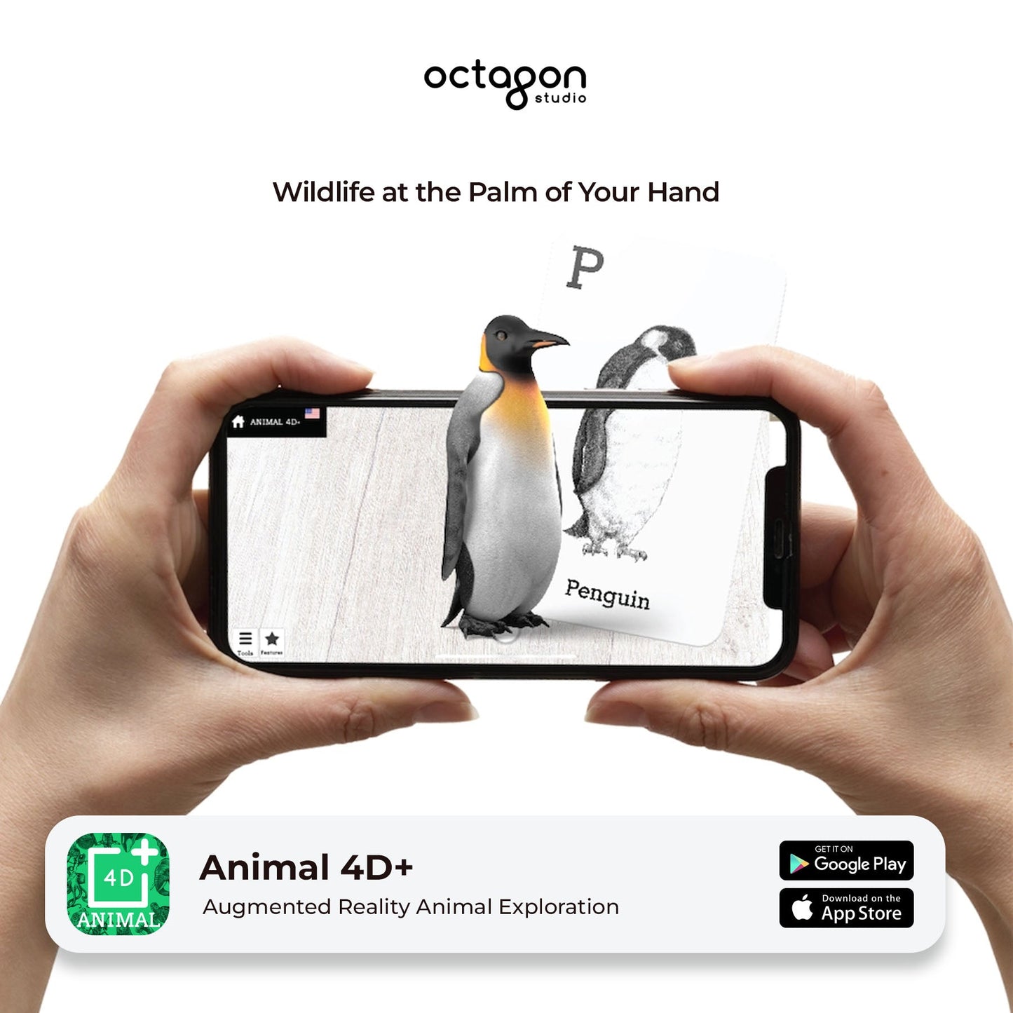 Animal 4D+ Augmented Reality Cards-2
